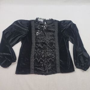 NWT Sheer panel velvet puff balloon sleeve blouse